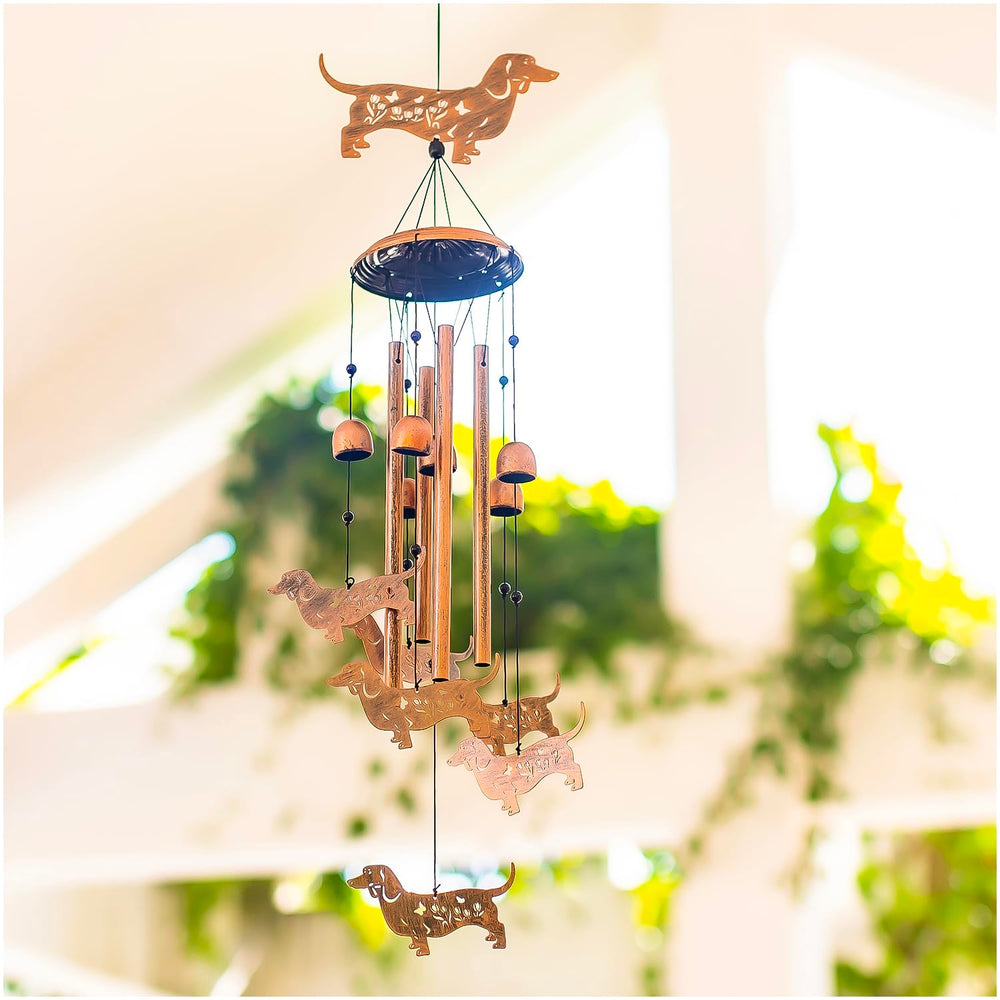 SRDJXY dachshund styled in a sunroom showing versatile indoor use benefits