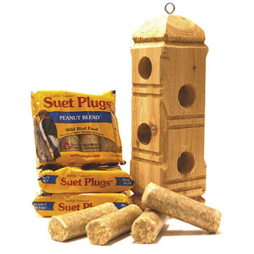 ST. ALBANS BAY SUET PLUS contents laid out displaying variety and ready-to-use selection