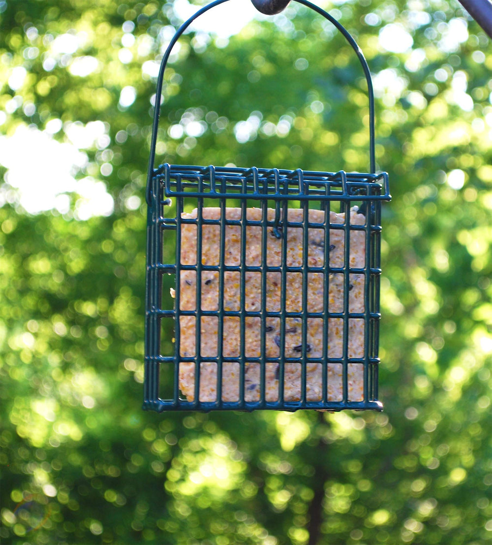ST. ALBANS BAY SUET PLUS in backyard setting encouraging frequent wildlife visits