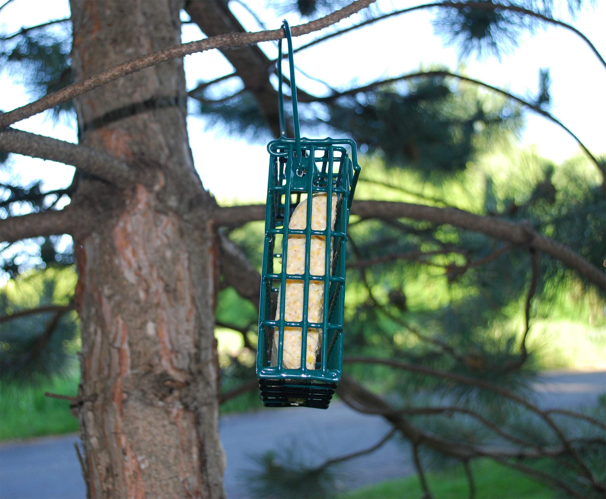 ST. ALBANS BAY SUET PLUS cake held in hand for size comparison benefit: easy to handle 11-ounce portions
