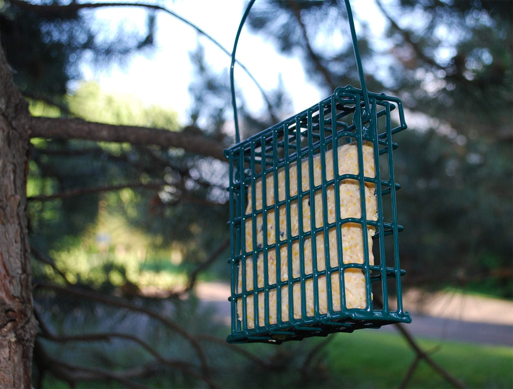 ST. ALBANS BAY SUET PLUS size comparison beside a ruler showing 11 oz cake scale and portion control