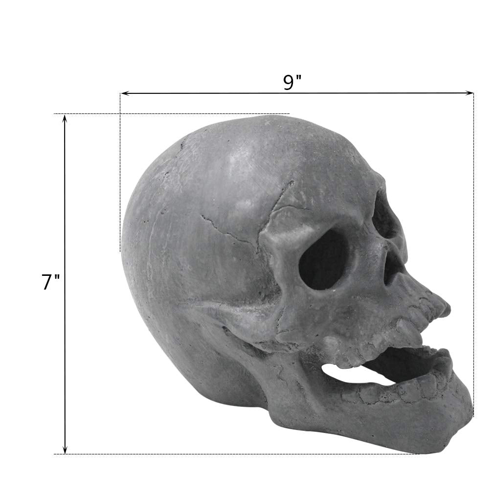 Stanbroil skull close-up texture highlighting heatproof cement detail
