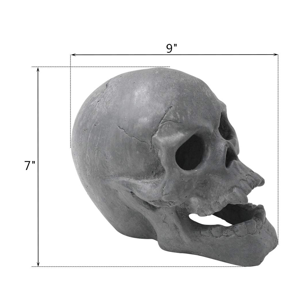 Stanbroil skull close-up texture highlighting heatproof cement detail