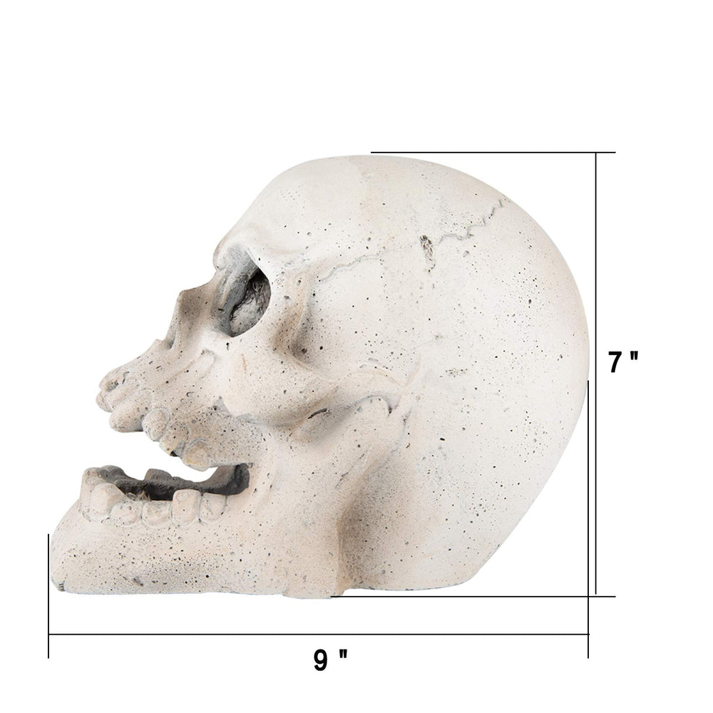 Stanbroil skull close-up of cement texture showcasing heat-resistant finish