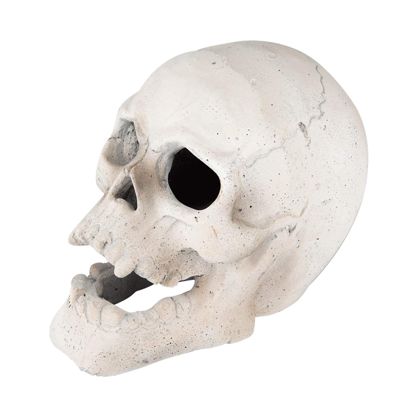 Stanbroil skull front view showing sculpted face and flame openings for drama
