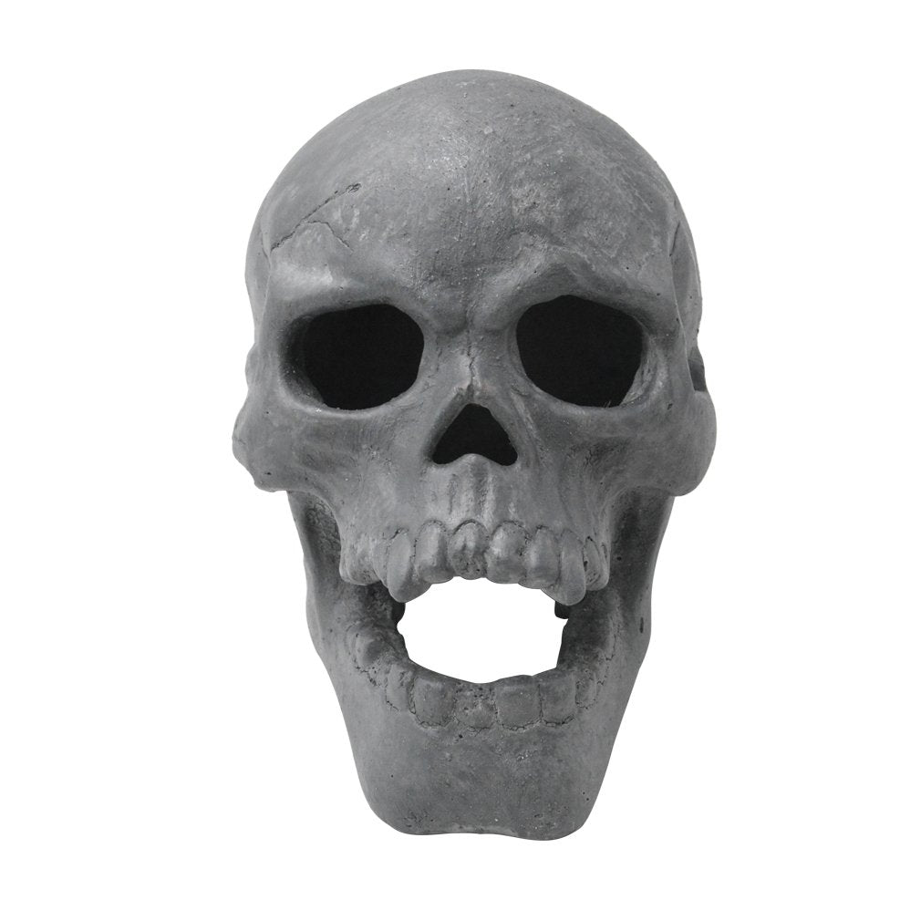 Stanbroil skull front view showing realistic shape and dramatic effect