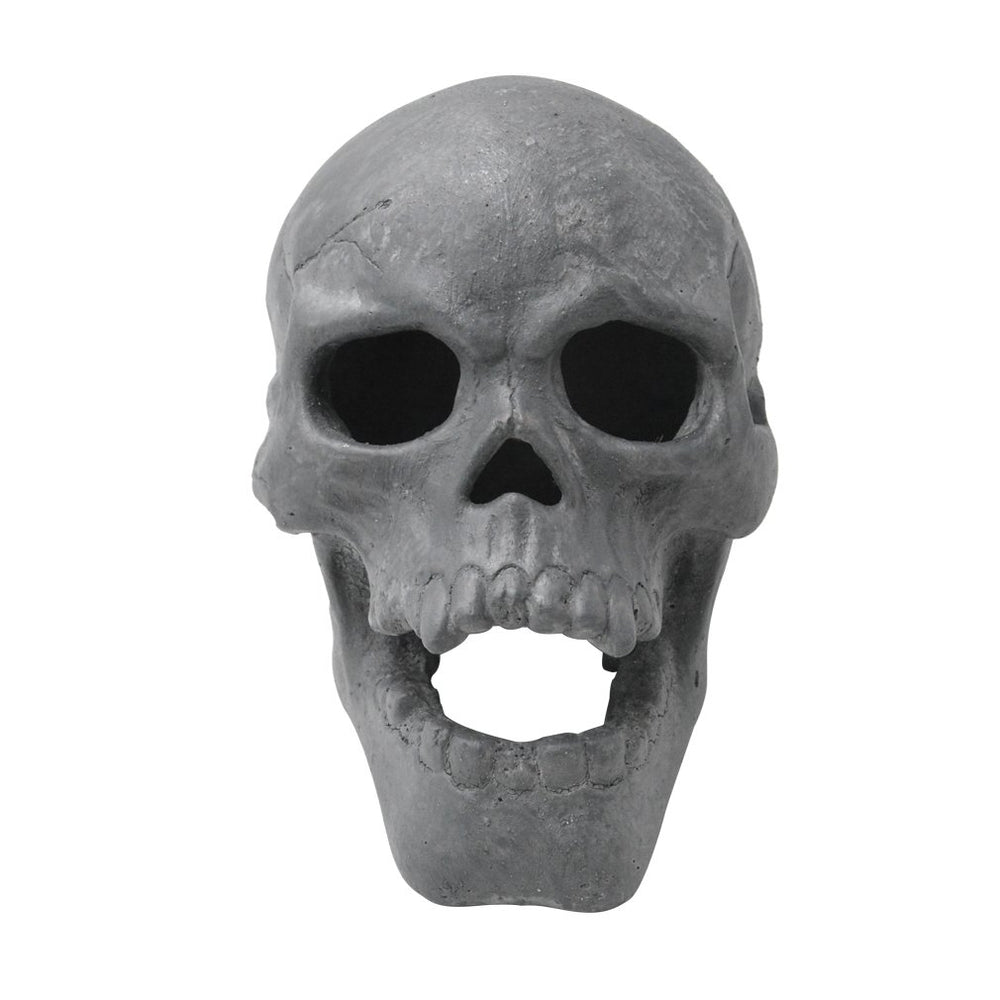 Stanbroil skull front view showing realistic shape and dramatic effect