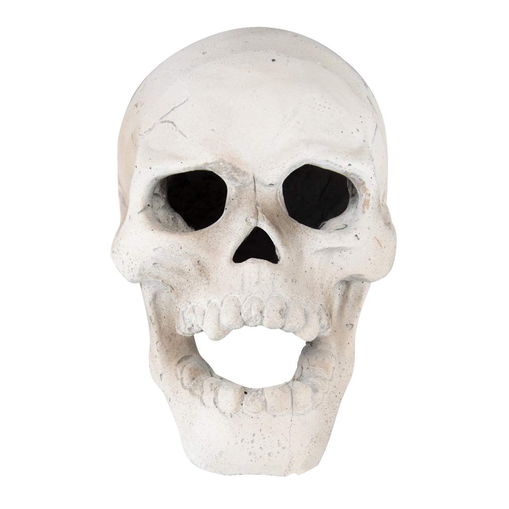Stanbroil skull glowing in a fire pit creating spooky illuminated effects
