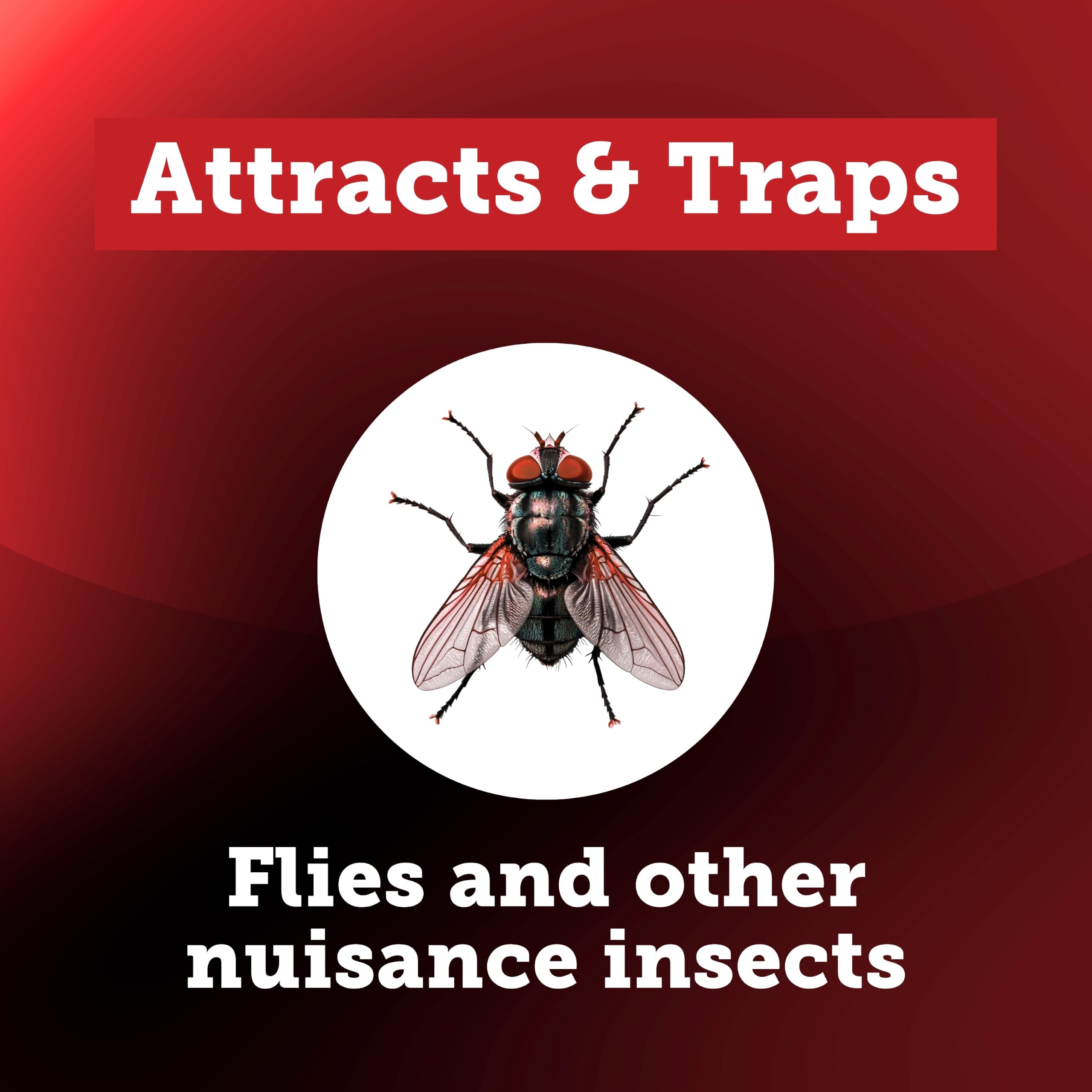 Starbar used fly stik covered with flies demonstrating effective trapping