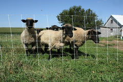 Starkline netting mesh texture highlighting conductive lines for containment