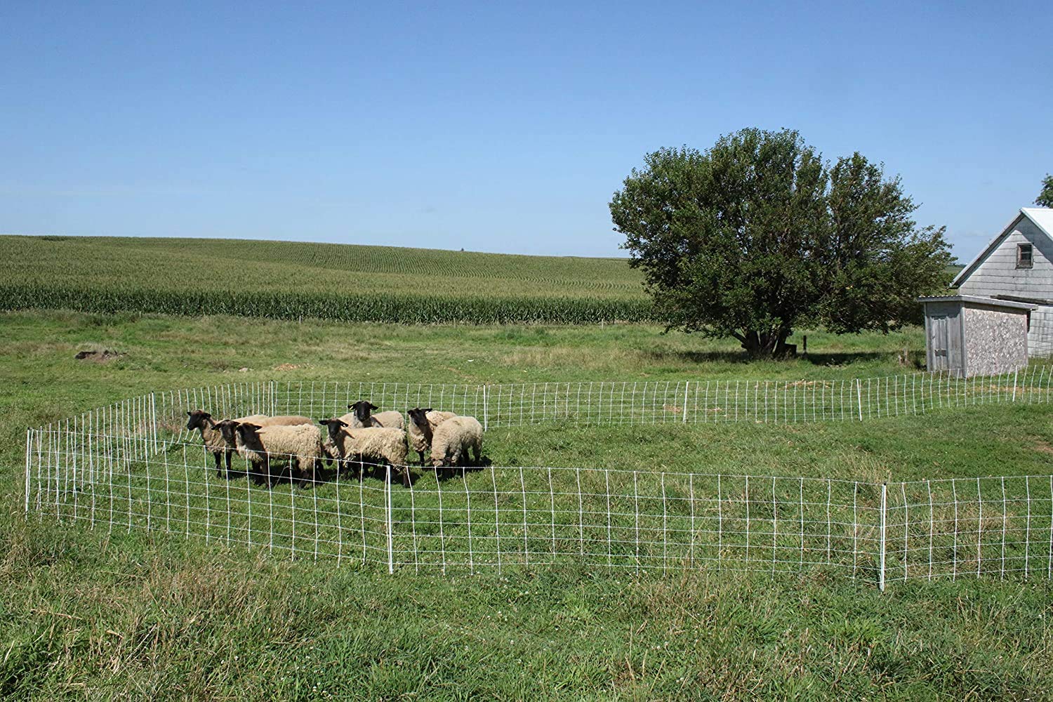 Starkline netting length comparison showing 35 by 164 feet coverage benefit