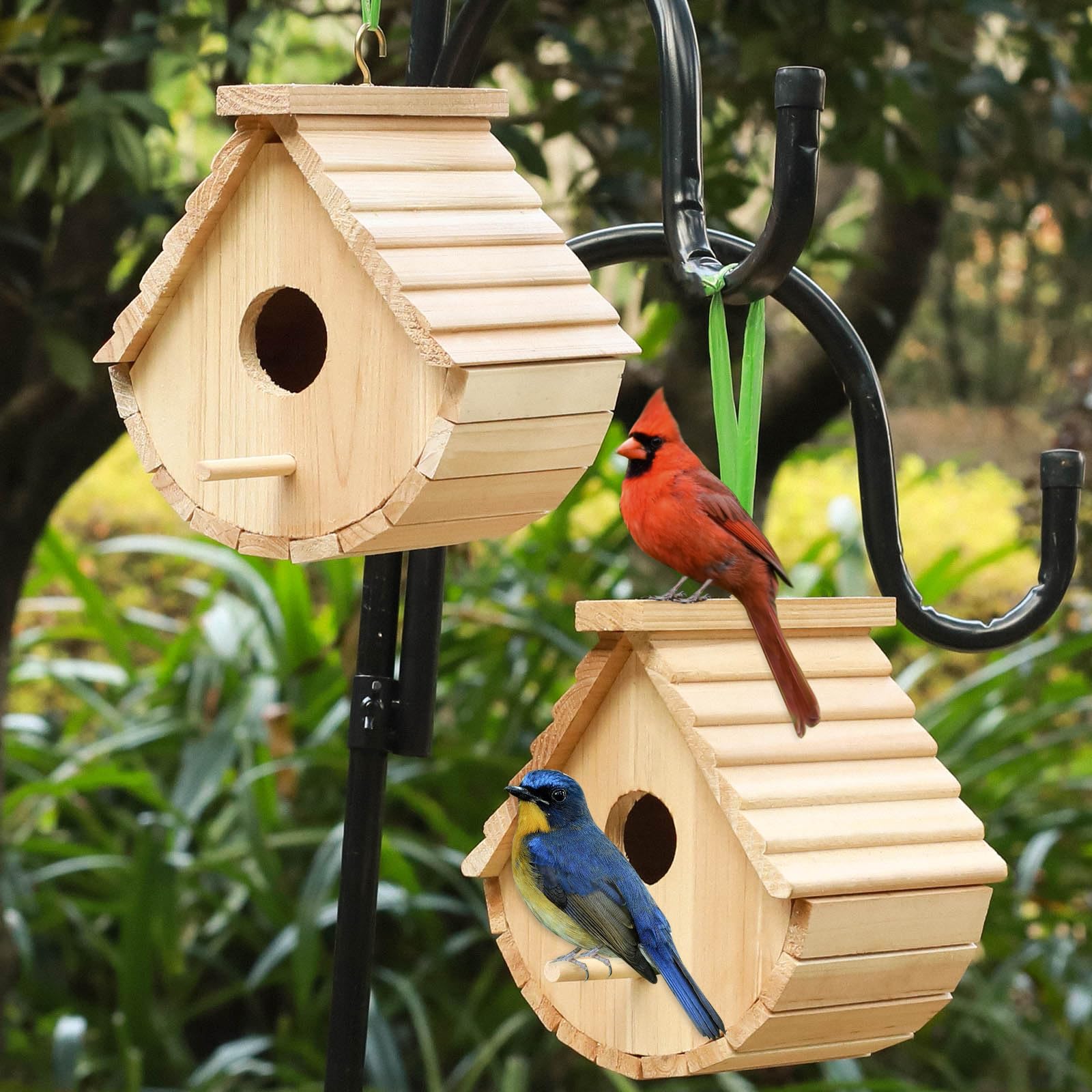 STARSWR mounted on tree branch in garden to attract songbirds to yard