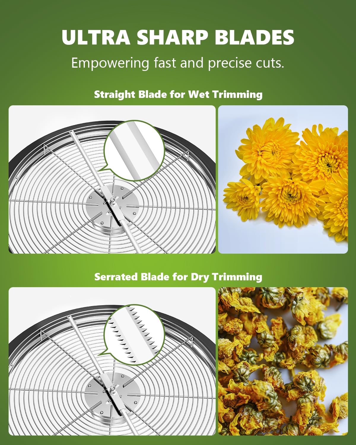 STAYGROW blade set showing straight and serrated blades for versatility
