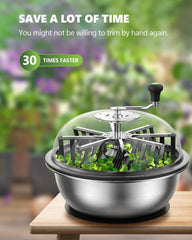 STAYGROW clear dome close-up showing visibility for precise trimming