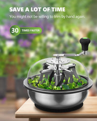 STAYGROW clear dome close-up showing visibility and precise trimming control