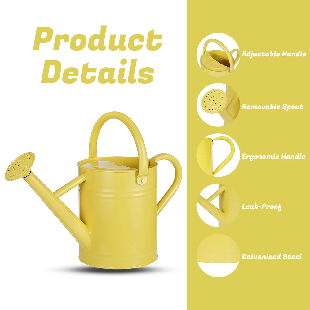 Stdemarzo removable spout detail portraying adjustable flow control for delicate plants