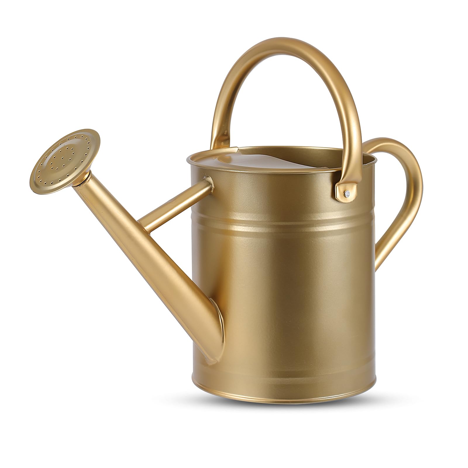 Stdemarzo gold watering can front view showing compact elegant design and easy pouring