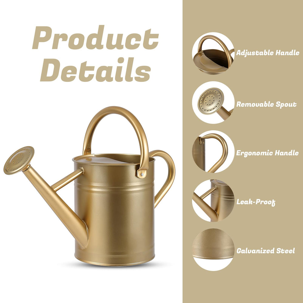 Stdemarzo watering can in use inside apartment watering houseplants with control