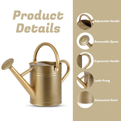 Stdemarzo watering can in use inside apartment watering houseplants with control