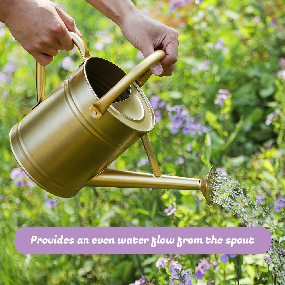 Stdemarzo watering can beside a soda can for size comparison and easy handling