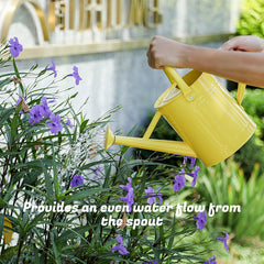 Stdemarzo ergonomic movable handle close-up demonstrating comfortable grip and reduced strain