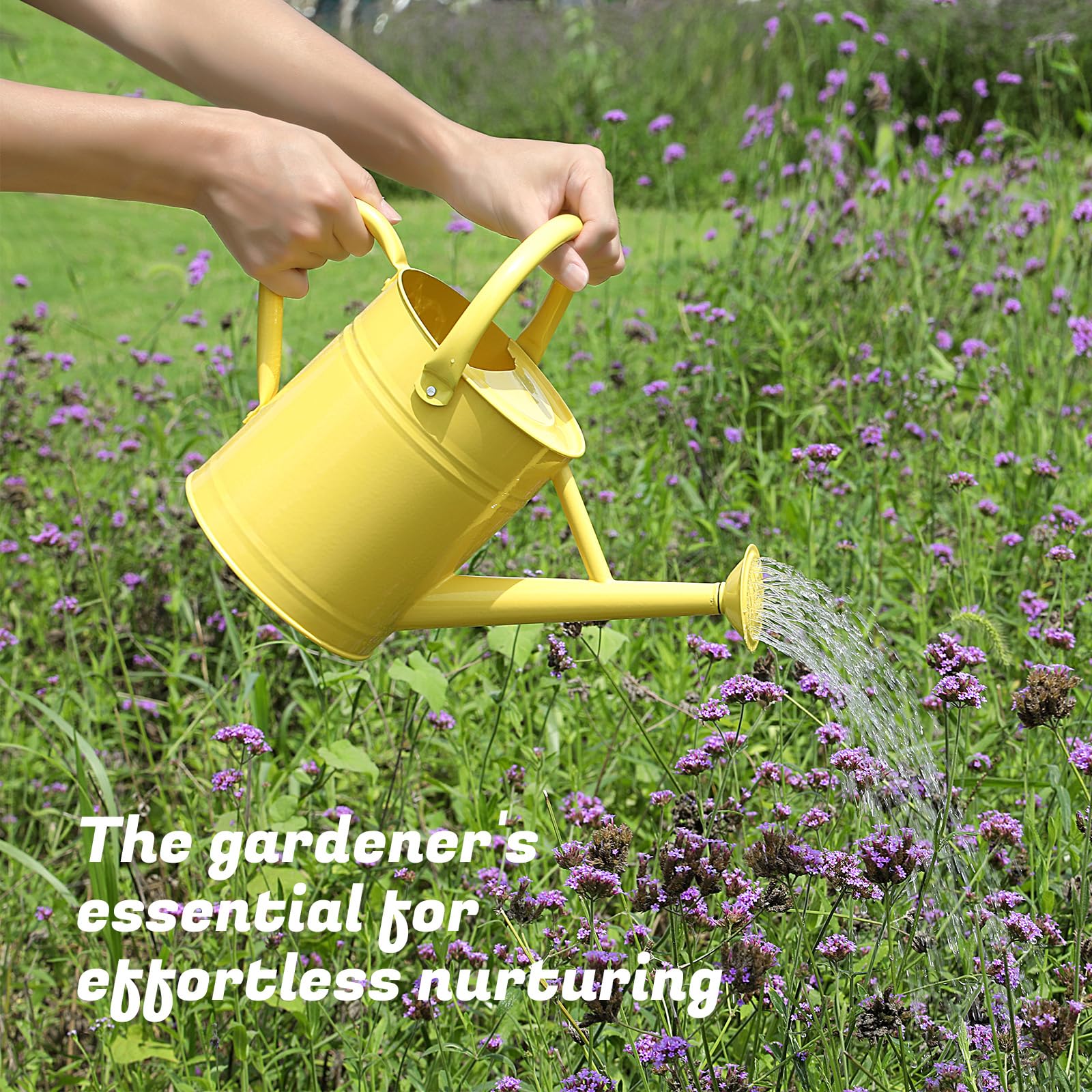Stdemarzo watering can in use pouring water into indoor pots to show precise delivery benefit
