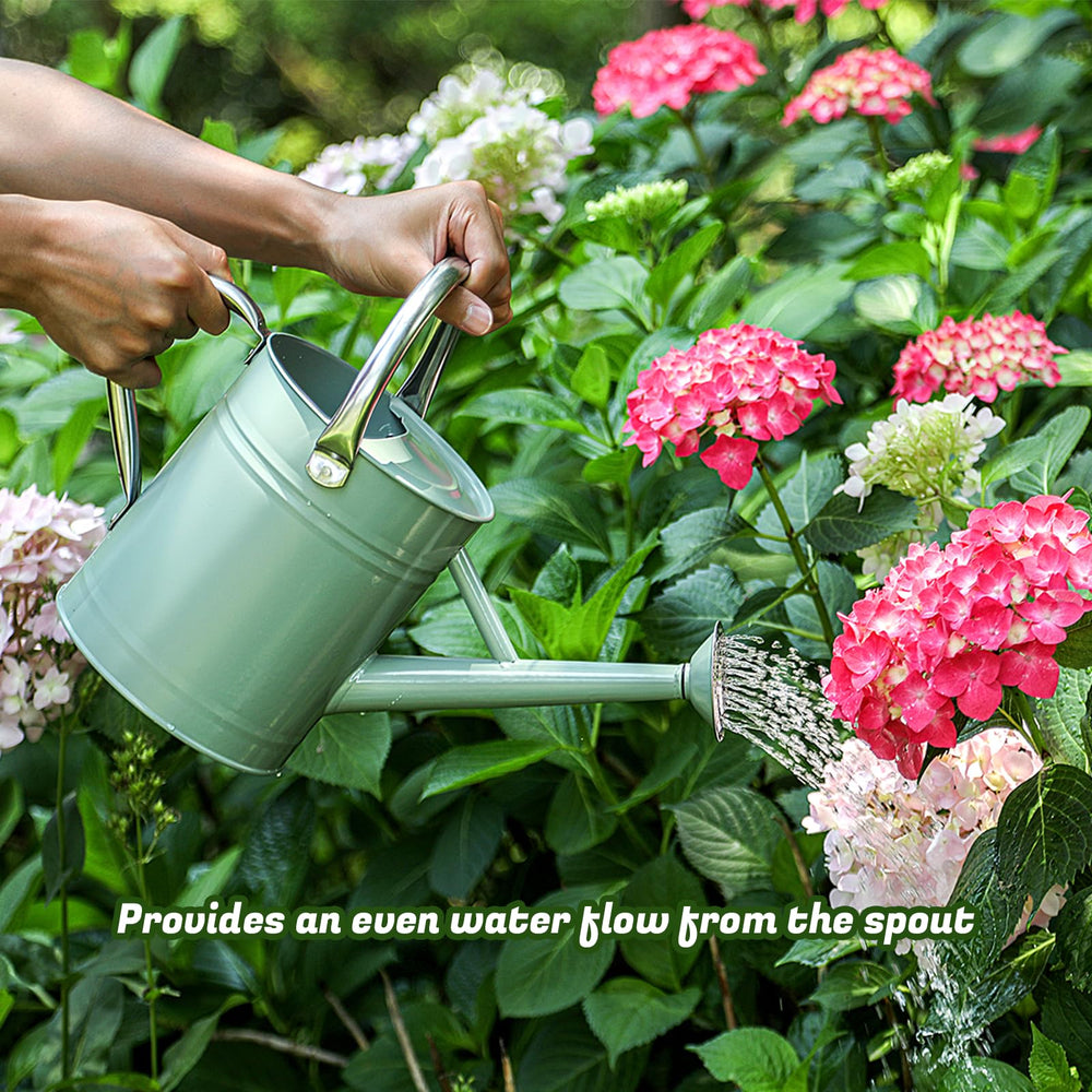 Stdemarzo watering can staged in outdoor patio garden showing decorative practicality