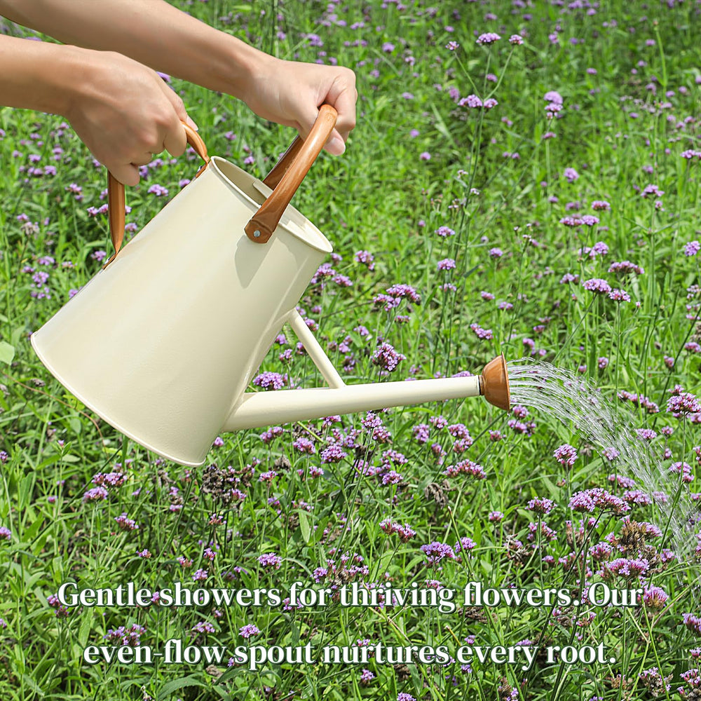 Stdemarzo removable spout detached for easy cleaning and flow change