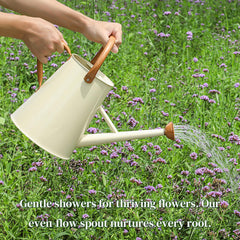 Stdemarzo removable spout detached for easy cleaning and flow change