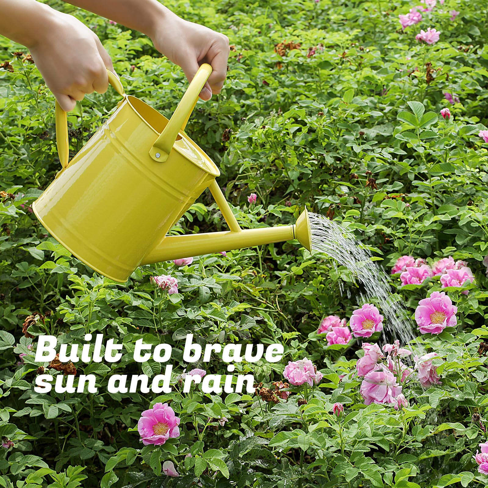 Stdemarzo beside a standard plant pot to show 1-gallon size and portability advantage