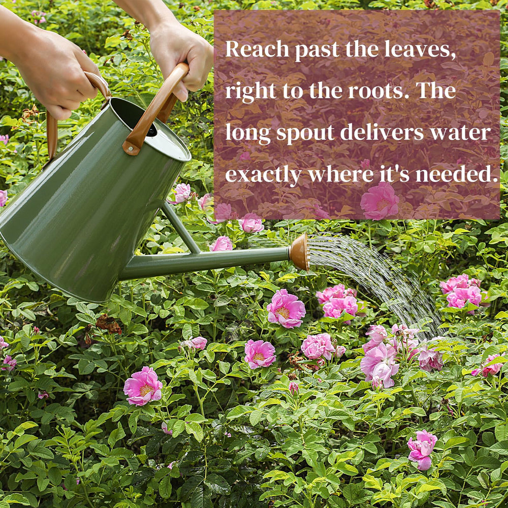 Stdemarzo close-up of detachable spout for easy cleaning