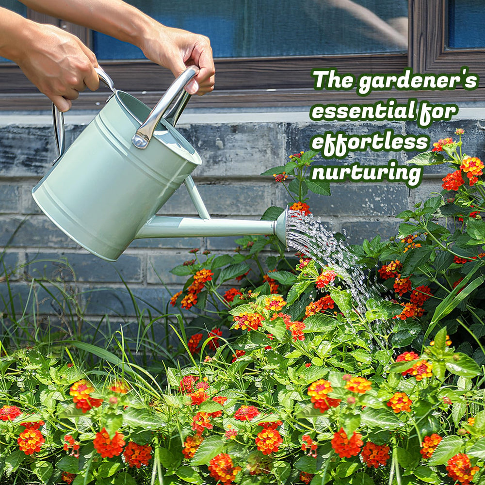 Stdemarzo watering can in use on indoor plants illustrating gentle targeted watering