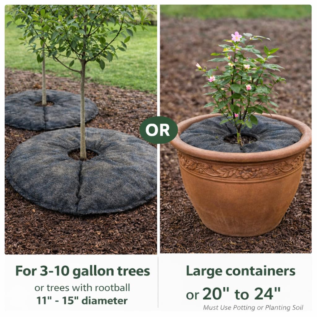 SteadySpring label and specs close-up showing recommended root ball sizes and years