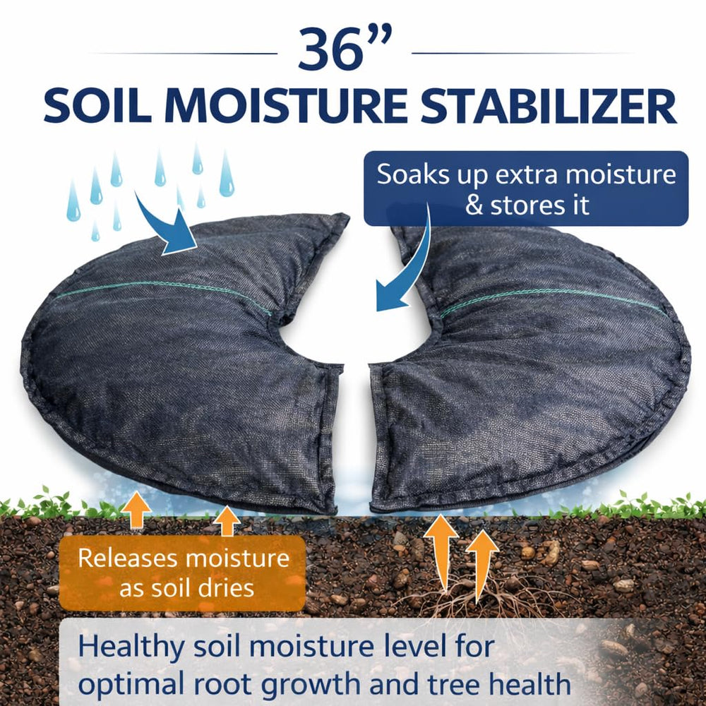 SteadySpring installed around a tree root ball showing reduced watering needs