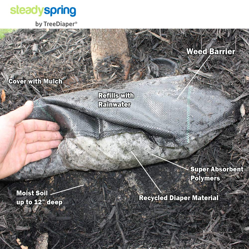 SteadySpring product label close-up showing size fit and usage instructions