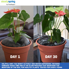 SteadySpring mat in 12-inch container with herbs showing healthier foliage