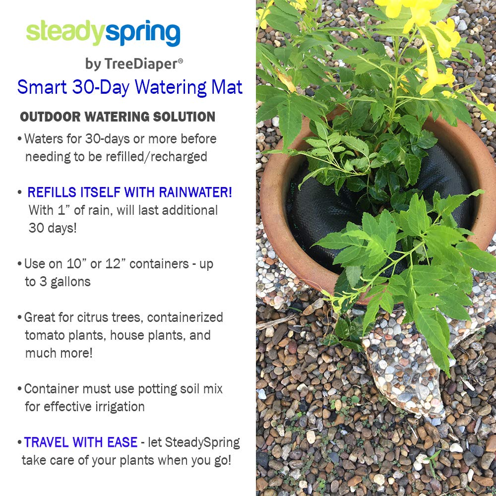 SteadySpring mat beside ruler showing accurate size for 10–12 inch containers