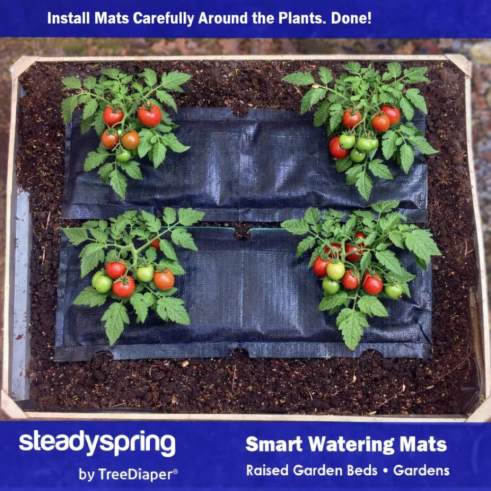 SteadySpring mat beside ruler showing 36 by 12 inch dimensions