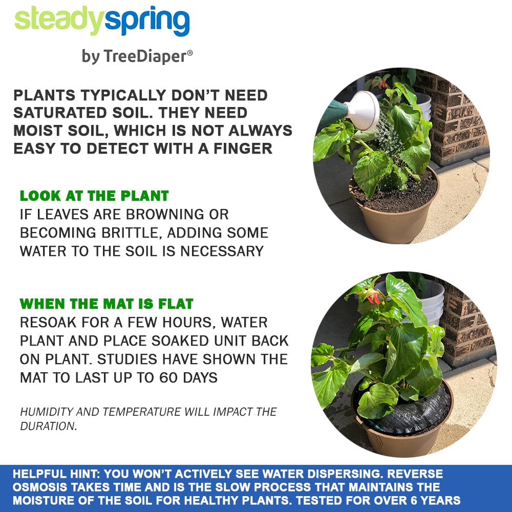 SteadySpring two-pack displayed in a home garden setting for travel-friendly watering