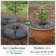 SteadySpring placement under 7–10 inch root ball for steady watering