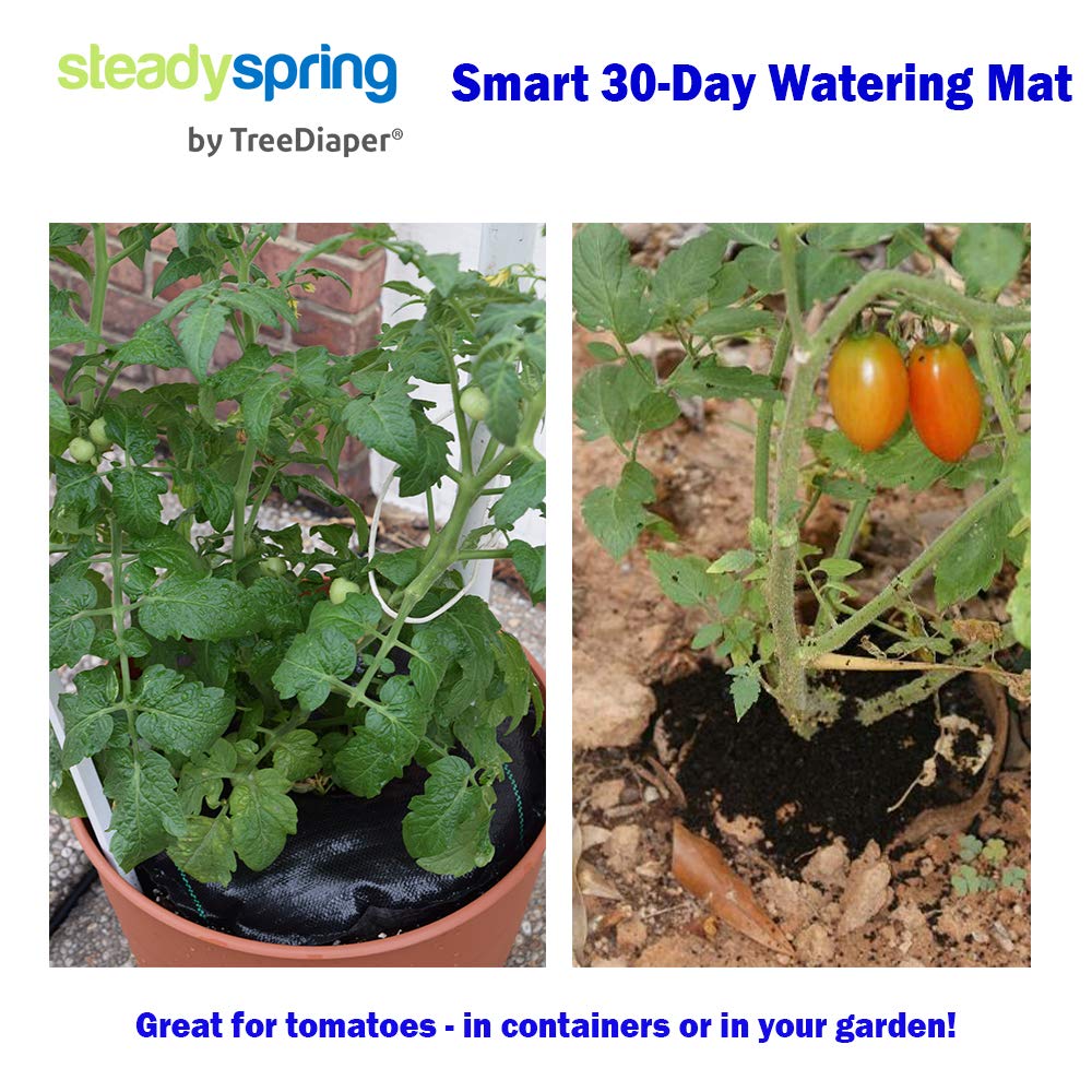 SteadySpring next to 1-gallon pot showing appropriate size fit
