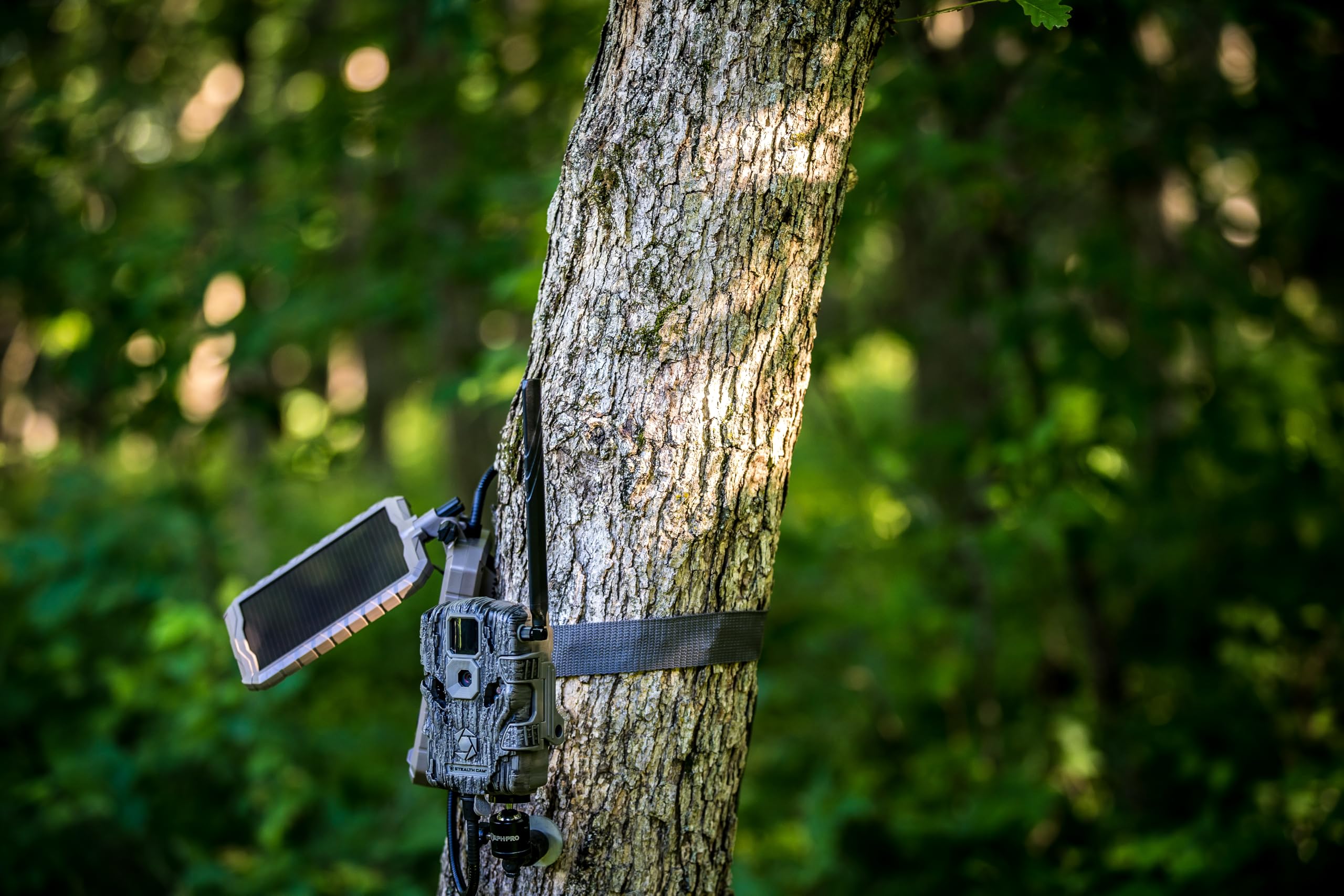 Stealth Cam Sol‑Pak detalle del cable aislado 10ft, conexión segura durable