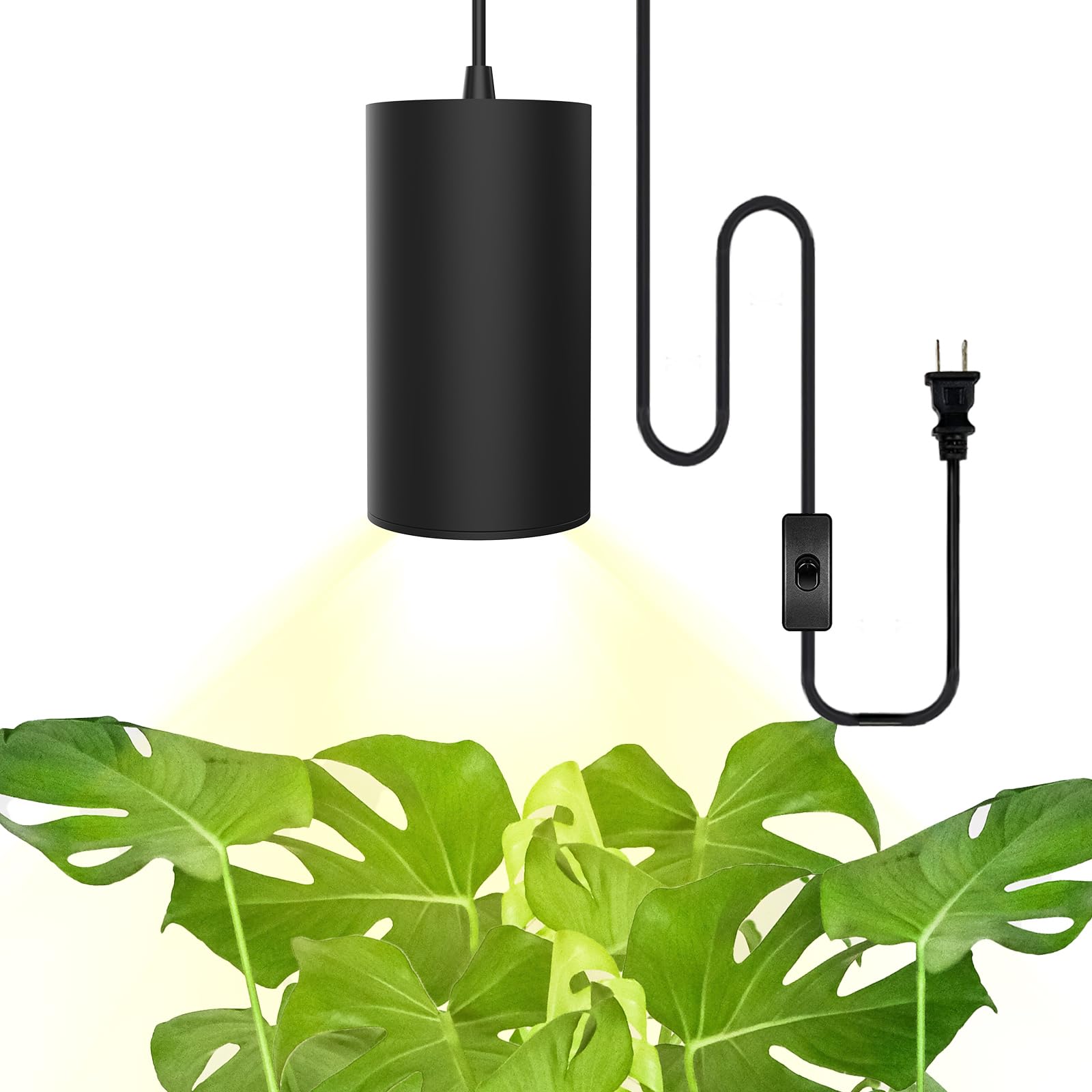 STERREN front pendant view showing sleek lamp and plant benefit
