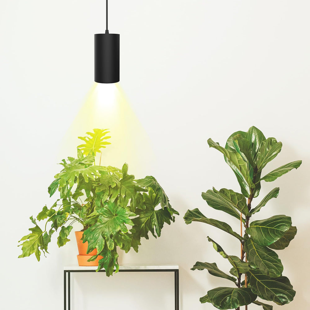 STERREN pendant hanging over plants demonstrating enhanced growth