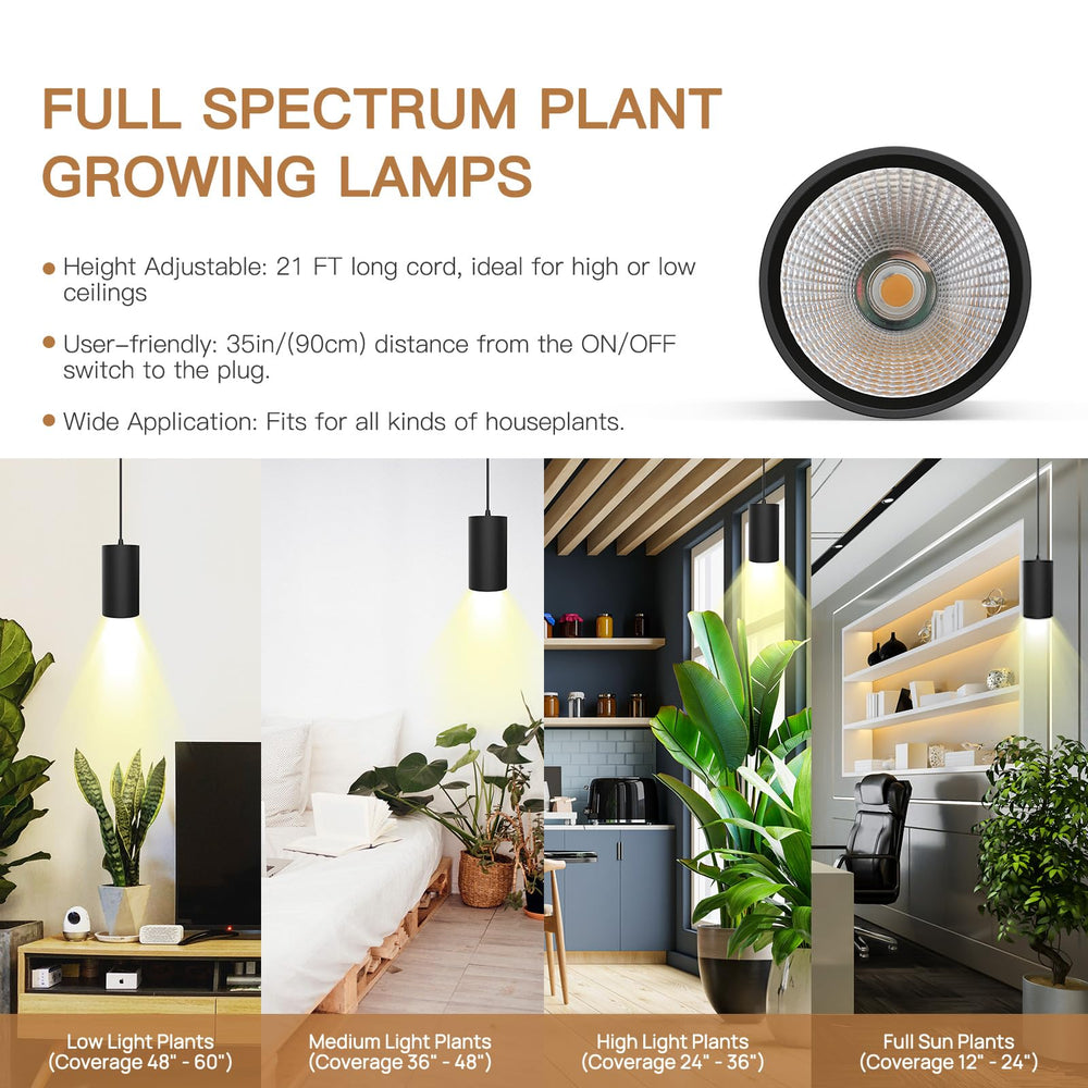STERREN size comparison with everyday items to show compact footprint benefit