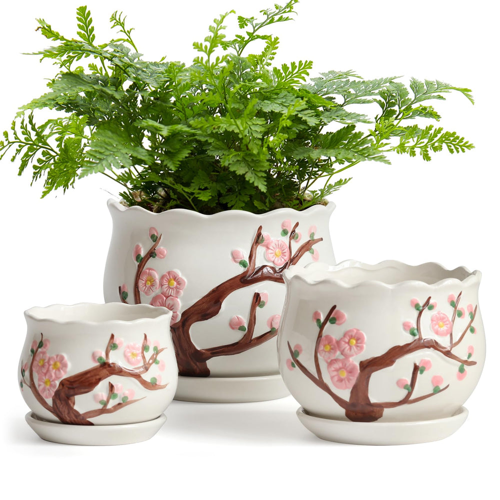 STHIE lifestyle grouping of three pots on table, creates coordinated plant vignette