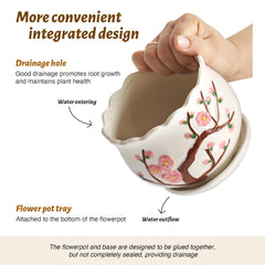 STHIE top-angle of planters with matching saucers catching runoff, keeps surfaces safe
