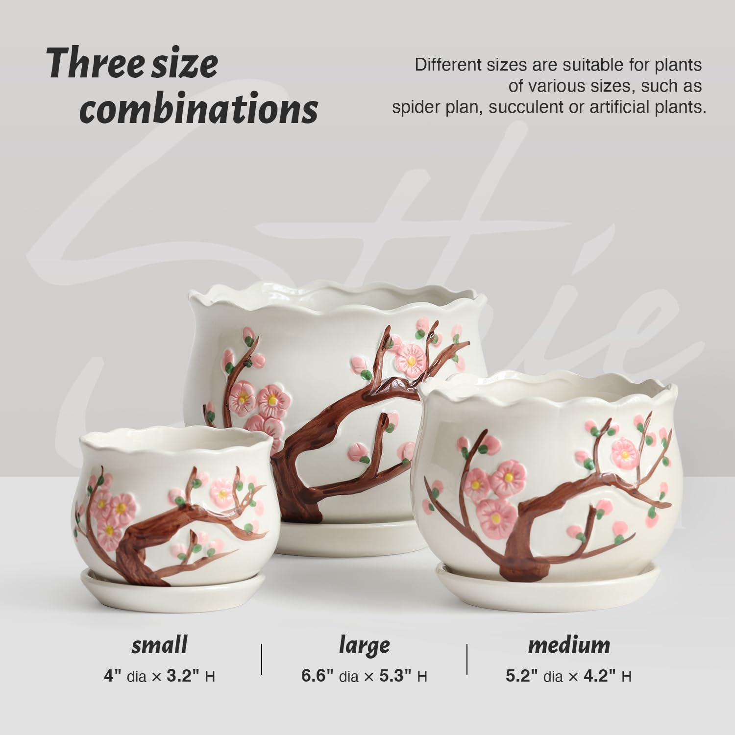 STHIE size comparison with small medium large pots, helps choose correct plant fit