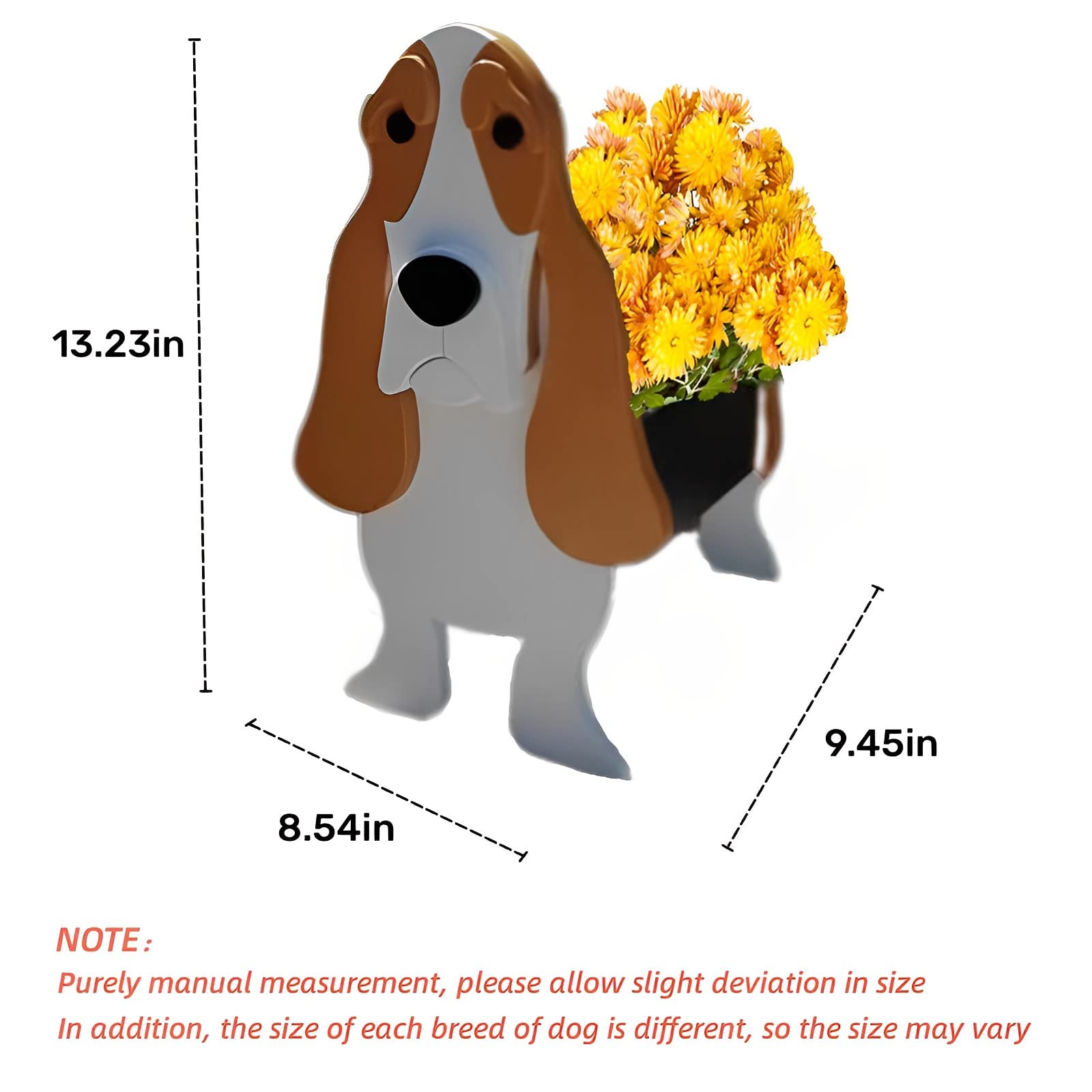 strolfay basset hound side profile highlights stable silhouette and balance