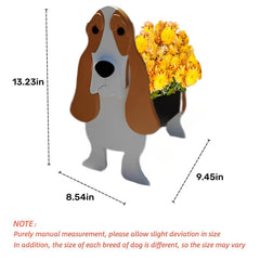 strolfay basset hound side profile highlights stable silhouette and balance